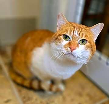 Photo of Monty