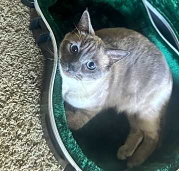 Photo of Baby