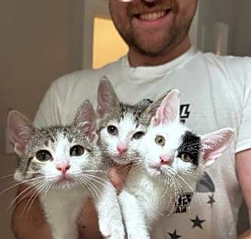Photo of Agent Spot