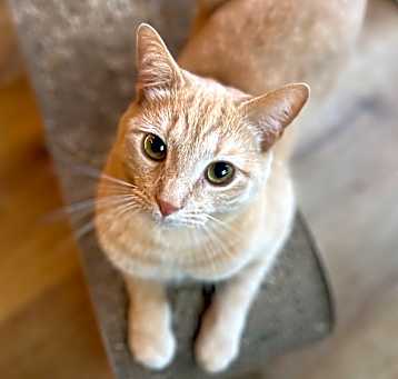 Photo of Clark