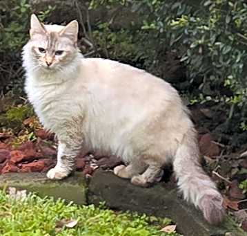 Photo of Noella