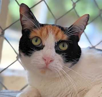 Photo of Sally