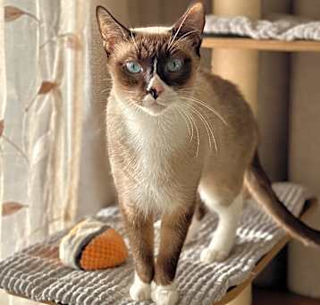 Photo of Saylah