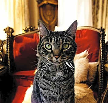 Photo of Sir Charles