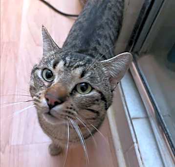 Photo of *HUEY