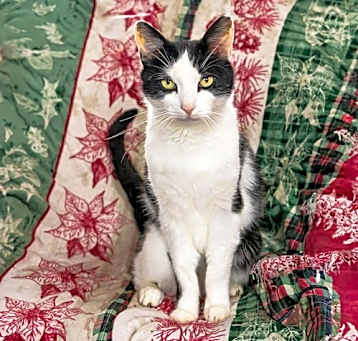 Photo of Simon