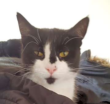 Photo of Sassy