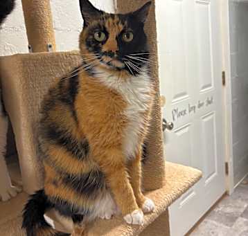 Photo of Charlotte