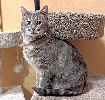 Photo of Patty