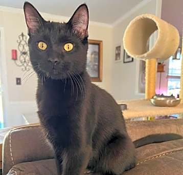Photo of Roscoe