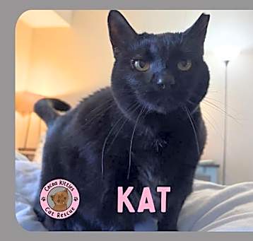 Photo of Kat