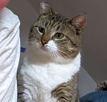 Photo of Frankie