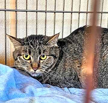 Photo of Bourbon