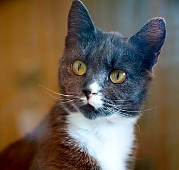 Photo of Clawdia