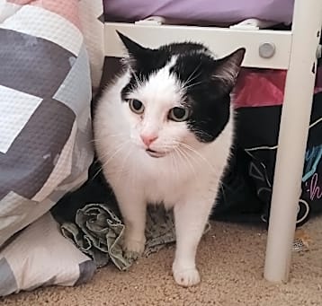 Photo of Penelope 