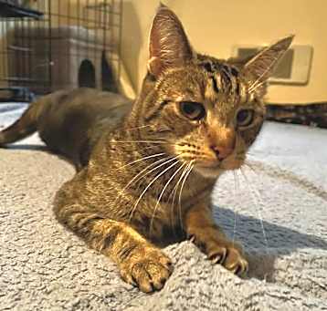 Photo of Slink