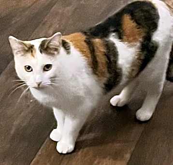 Photo of Lydia