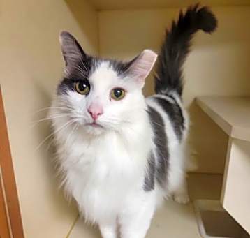 Photo of Turbo