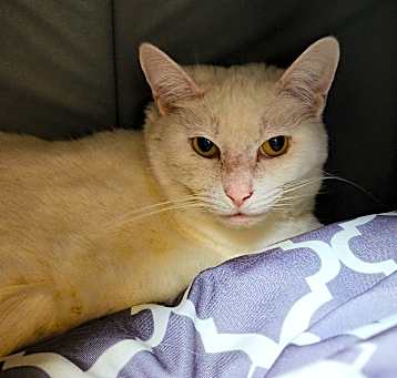 Photo of Skippy