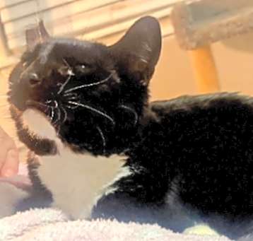 Photo of Prissy T