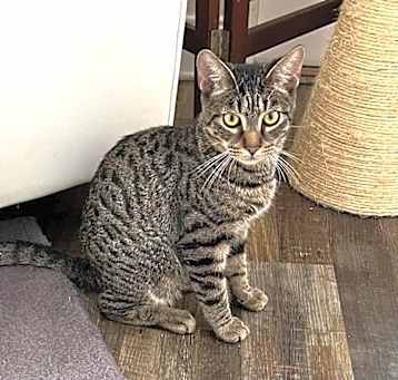 Photo of Sammy