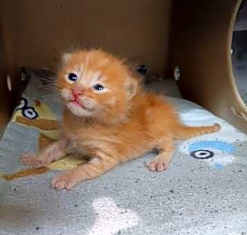 Photo of 58227965