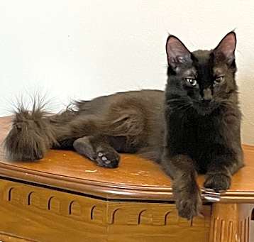 Photo of Sasha