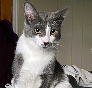 Photo of Benny