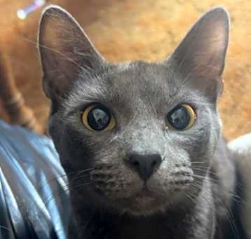 Photo of Fernando