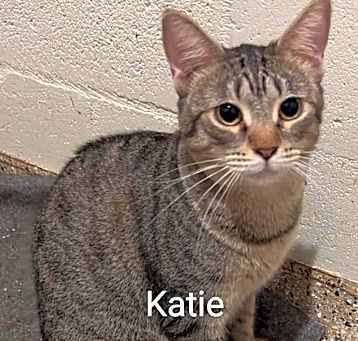 Photo of Katie