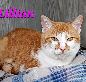 Photo of Lillian