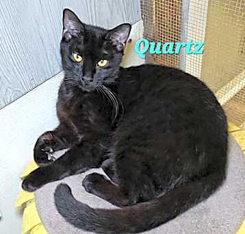Photo of Quartz