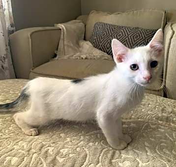 Photo of Benny