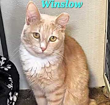 Photo of Winslow