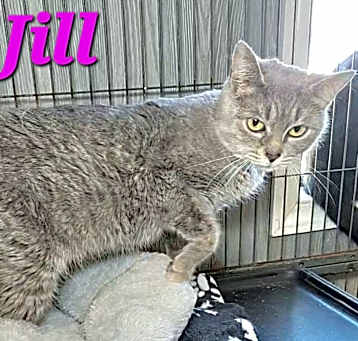 Photo of Jill