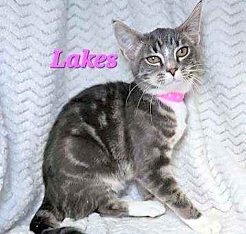 Photo of Lakes
