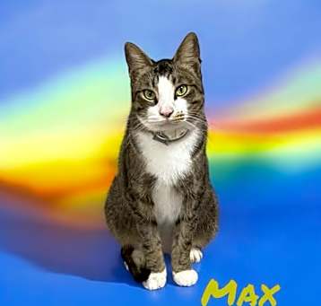 Photo of Max