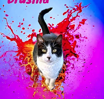 Photo of Drusilla