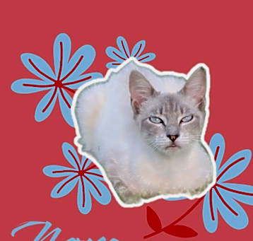 Photo of Nora