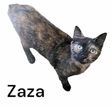 Photo of ZaZa