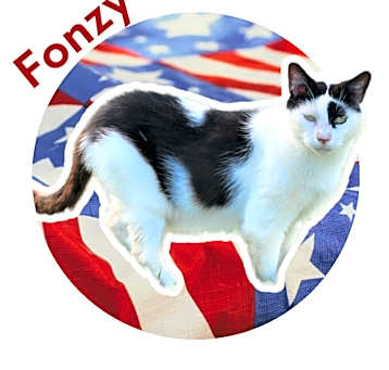 Photo of Fonzy