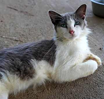 Photo of Franciou
