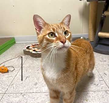 Photo of PUCK