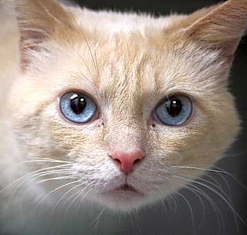 Photo of Bernard