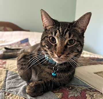 Photo of Binx