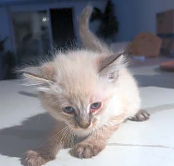 Photo of Mi mi