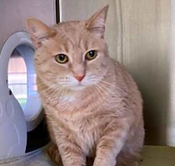 Photo of Hunter