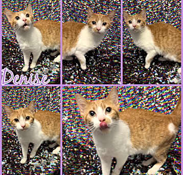 Photo of Denise