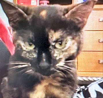Photo of Sophie A25-034
