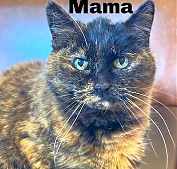 Photo of Mama 250213